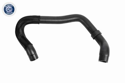 Radiator Hose VAICO V10-8879