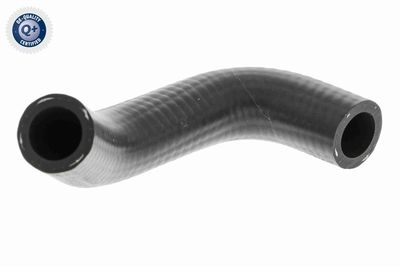 Radiator Hose VAICO V10-9884