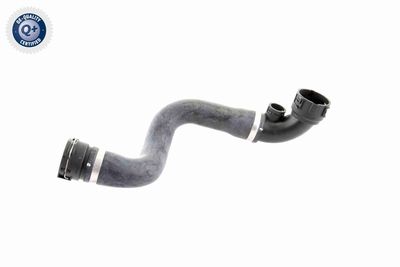 Radiator Hose VAICO V20-0868