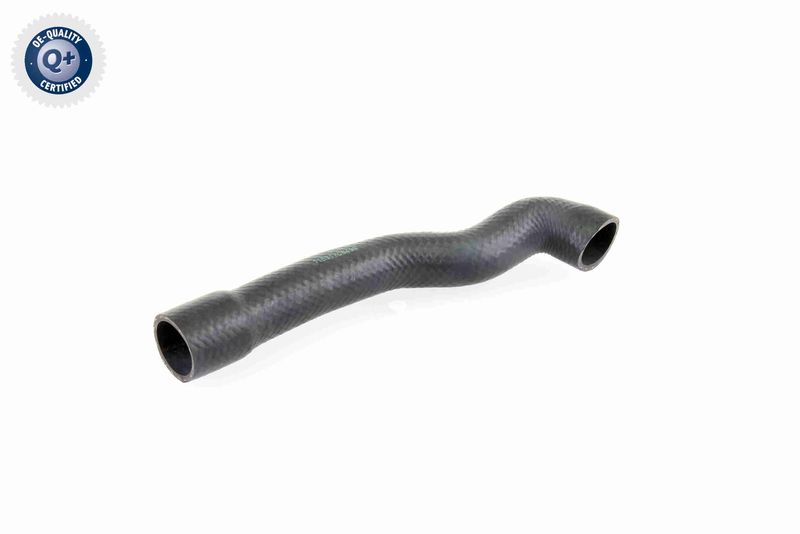VAICO V20-1239 Radiator Hose