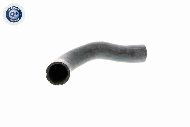 VAICO V20-1241 Radiator Hose