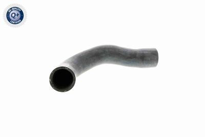 Radiator Hose VAICO V20-1241