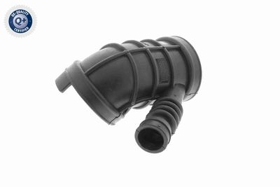 Intake Hose, air filter VAICO V20-1404