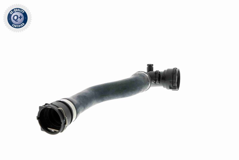 VAICO V20-1462 Radiator Hose