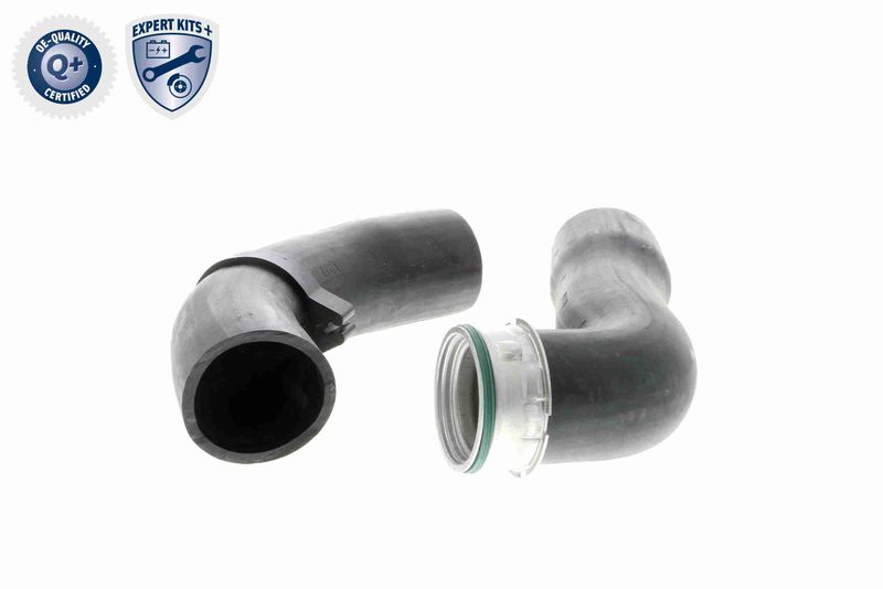 VAICO V20-1615 Charge Air Hose