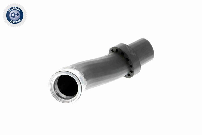 VAICO V20-1619 Charge Air Hose
