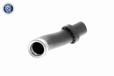 Charge Air Hose VAICO V20-1619