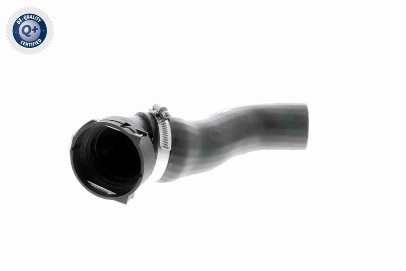 VAICO V20-1620 Charge Air Hose