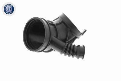 Intake Hose, air filter VAICO V20-1629