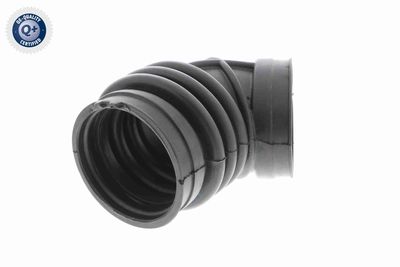 Intake Hose, air filter VAICO V20-1637