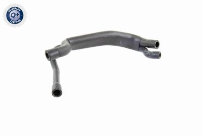 Breather Hose, expansion tank VAICO V20-1641