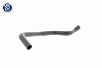 Hose, crankcase ventilation VAICO V20-1646