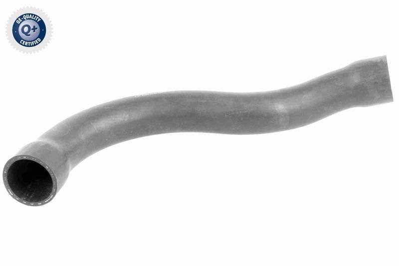 VAICO V20-1750 Radiator Hose