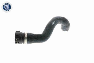 Radiator Hose VAICO V20-1774