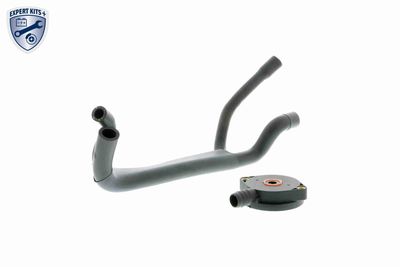 Repair Kit, crankcase ventilation VAICO V20-1920