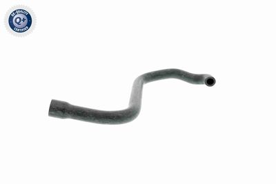 Hose, cylinder head cover ventilation VAICO V20-2080