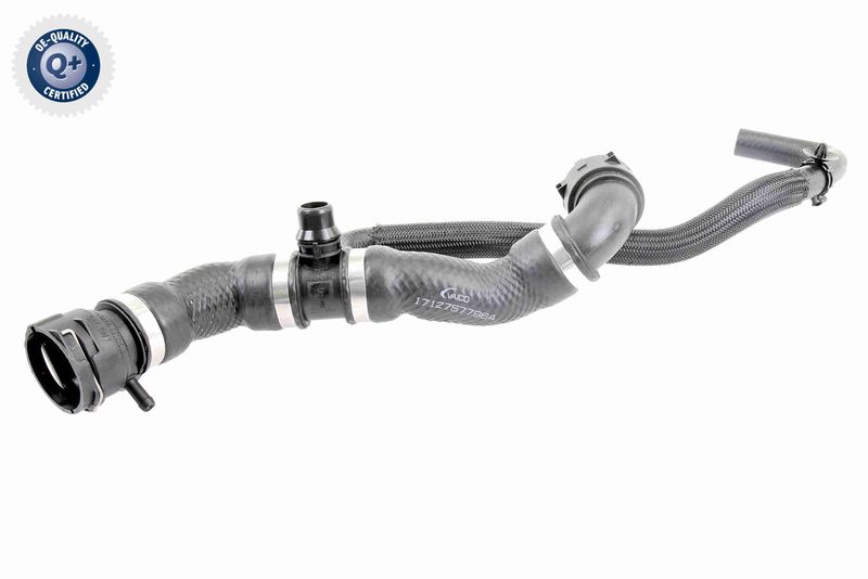VAICO V20-2421 Radiator Hose