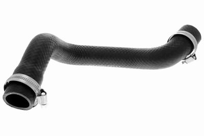 Radiator Hose VAICO V20-2463