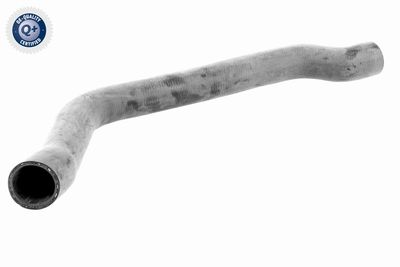 Radiator Hose VAICO V20-2607