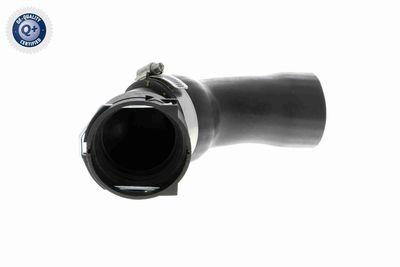 Charge Air Hose VAICO V20-2725