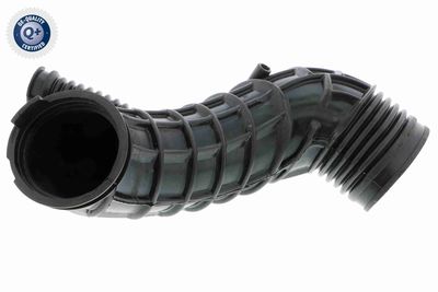 Hose, air supply VAICO V20-2774
