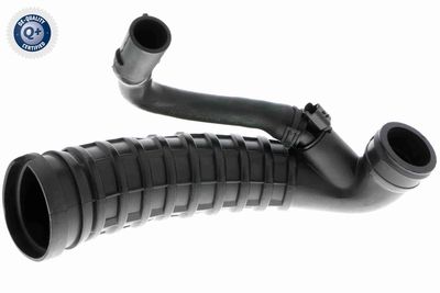 Hose, air supply VAICO V20-2775
