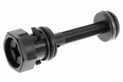 Breather Screw/Valve, radiator VAICO V20-2941