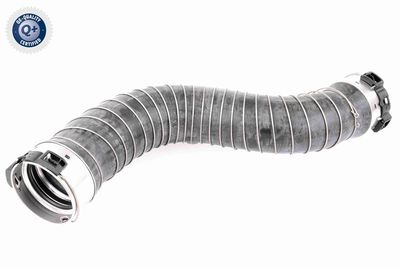 Charge Air Hose VAICO V20-2966