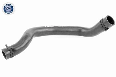 Radiator Hose VAICO V20-3244