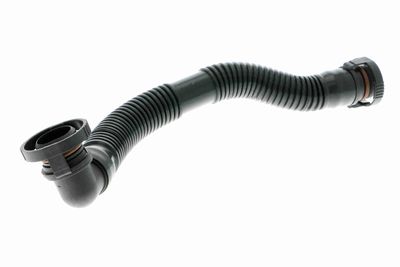 Hose, crankcase ventilation VAICO V20-3253