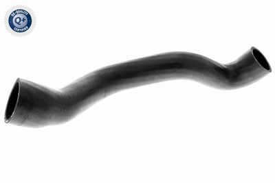 Radiator Hose VAICO V20-3329