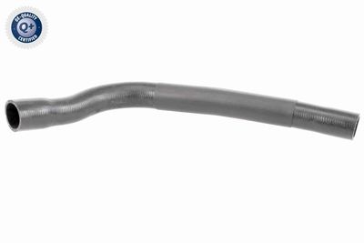 Radiator Hose VAICO V20-3333