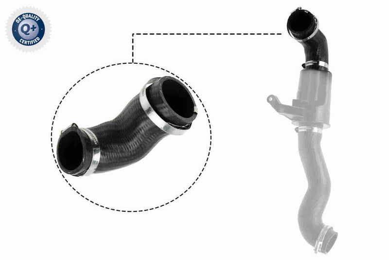 VAICO V20-3626 Radiator Hose