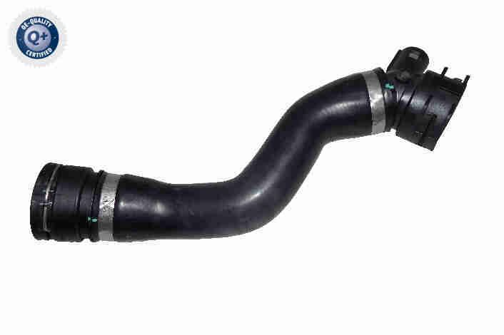 VAICO V20-4351 Radiator Hose