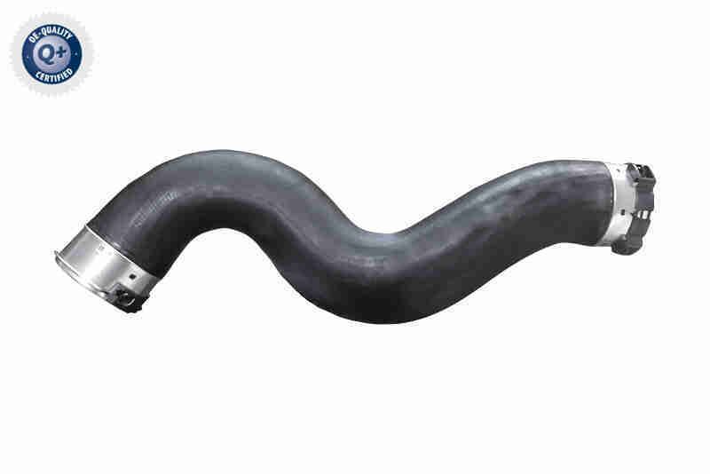 VAICO V20-4369 Charge Air Hose