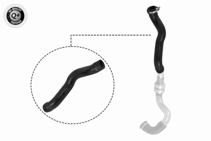 VAICO V21-0025 Charge Air Hose