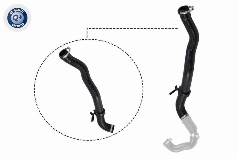 VAICO V21-0027 Charge Air Hose