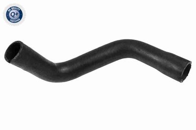 Radiator Hose VAICO V22-0729