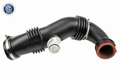 Hose, air supply VAICO V22-0734