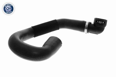 Radiator Hose VAICO V22-0850