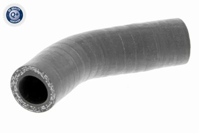 Charge Air Hose VAICO V24-0631