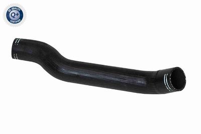 Charge Air Hose VAICO V24-0682