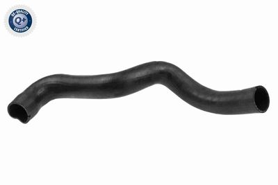 Charge Air Hose VAICO V24-0693