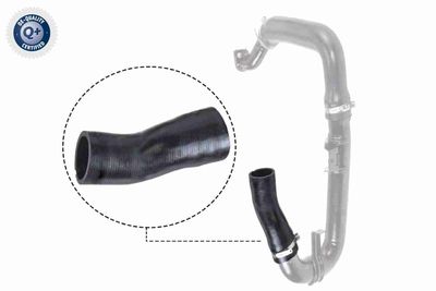Charge Air Hose VAICO V24-0697