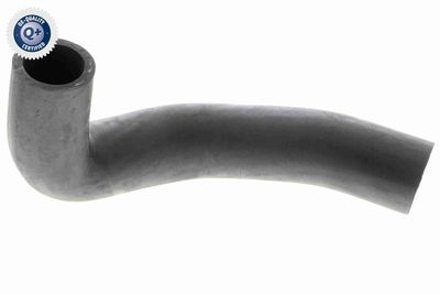Charge Air Hose VAICO V24-0698