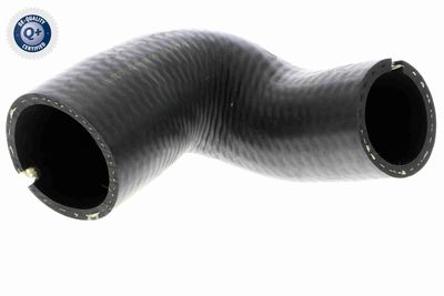 Charge Air Hose VAICO V24-0699