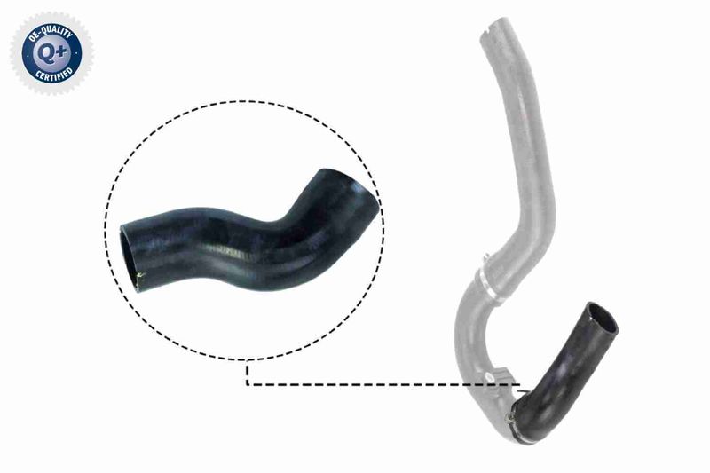 VAICO V24-0711 Charge Air Hose