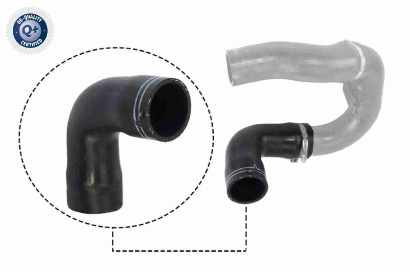 VAICO V24-0716 Charge Air Hose