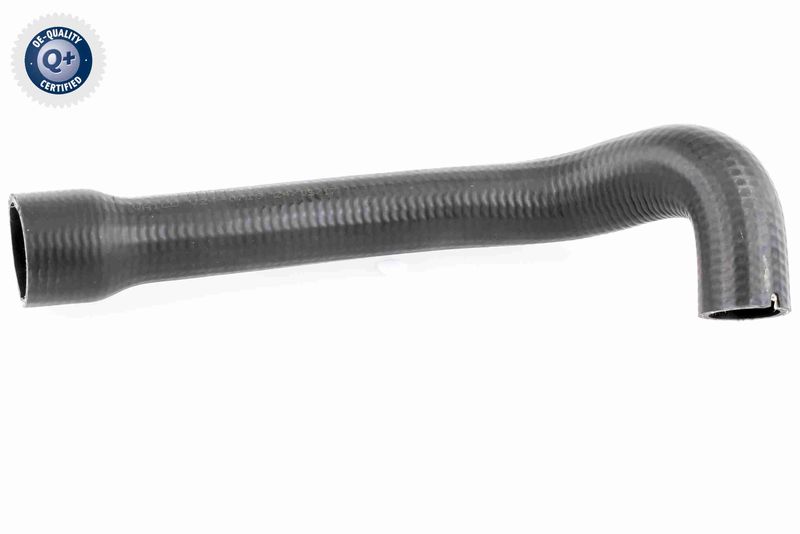 VAICO V24-0719 Charge Air Hose