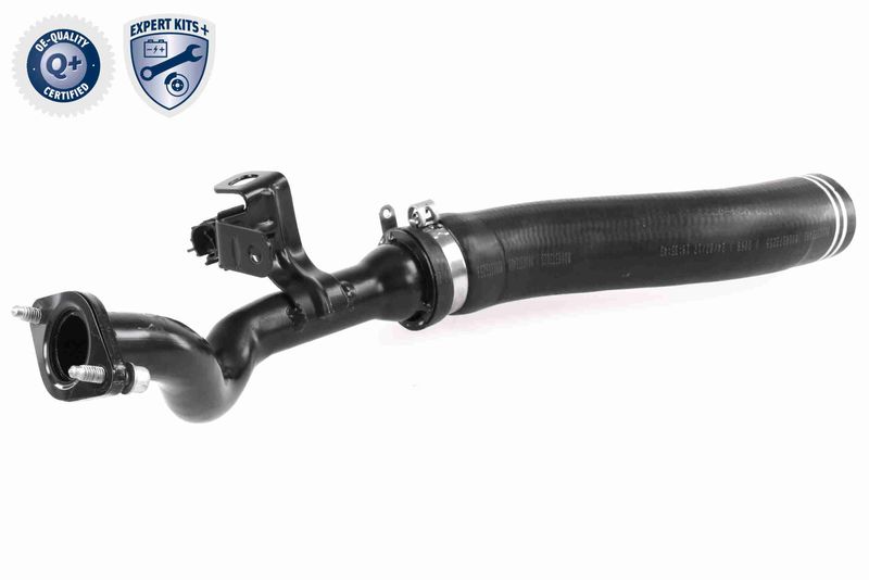 VAICO V24-0722 Charge Air Hose